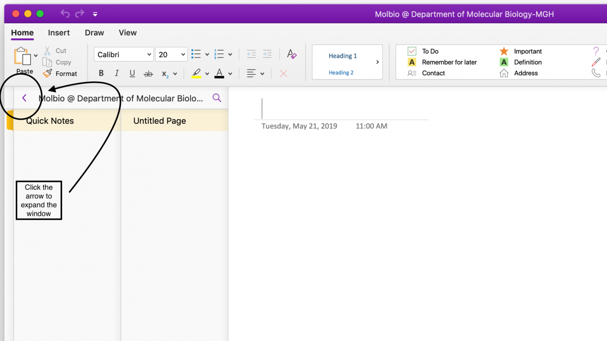 eln_onenote03a.png